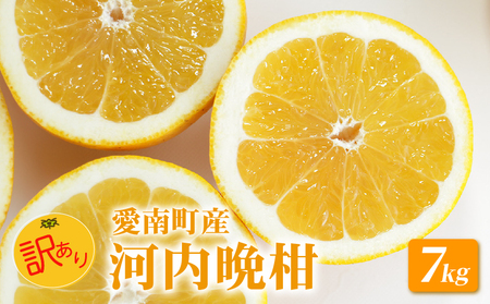 訳あり 河内晩柑 7kg 愛南ゴールド 【河内晩柑】