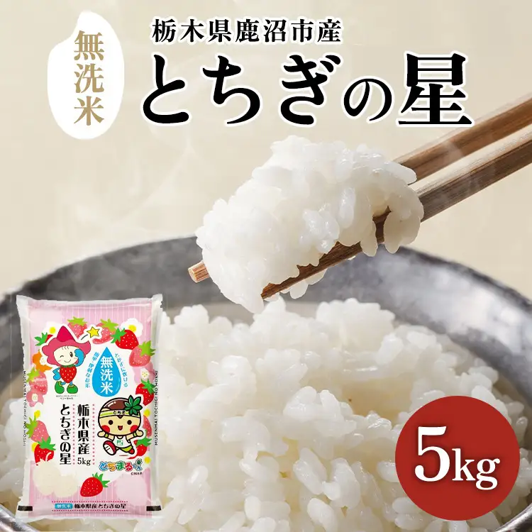 栃木県鹿沼市産 とちぎの星 無洗米 5kg 令和7年産 | 水稲うるち精米 単一原料米 お米 特A 大粒 甘さ ※沖縄・離島への配送不可