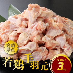 宮崎県産若鶏手羽元3㎏_K16_0086_1