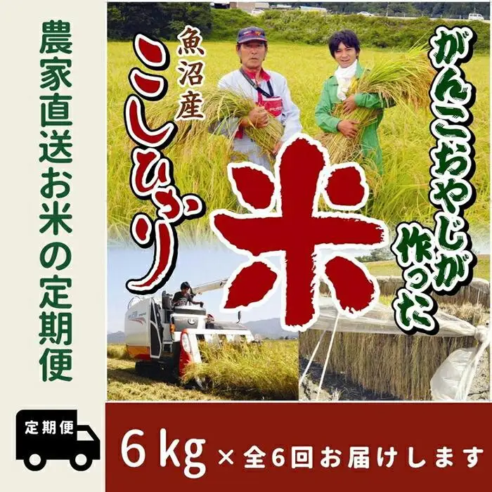 【令和７年産】6か月定期便　がんこおやじが作った南魚沼産コシヒカリ白米６kg（３kg×２袋）【定期便 銘柄米 ブランド米 精米 こしひかり コシヒカリ 魚沼産 新潟米 産地直送 お米 米 こめ コメ ご飯 御飯 ごはん】