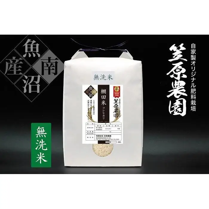 【令和７年産】南魚沼産 笠原農園 棚田米コシヒカリ 無洗米 ５kg 【銘柄米 ブランド米 無洗米 こしひかり コシヒカリ 魚沼産 南魚沼産 プレミアム 新潟米 新潟県産 高評価 高品質 高級 国産米 産直 ご飯 御飯 ごはん 厳選 】