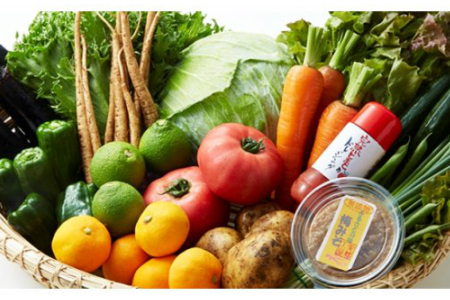 国東の旬野菜＆フルーツの詰合せ _1029R