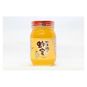 はちみつ 井之上養蜂場 桃源郷アカシア蜂蜜 鳥取県産 600g × 1本