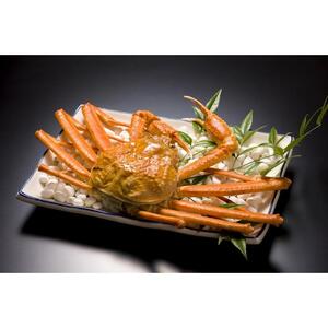 BARCOS RYOKAN 三朝荘「鳥取グルメスペシャルプラン」ペア宿泊券