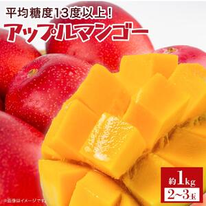 【2026年7月下旬より発送】【先行予約】平均糖度13度以上！アップルマンゴー約1kg（2~3玉）| マンゴー