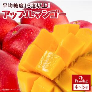 【2026年7月下旬より発送】【先行予約】平均糖度13度以上！アップルマンゴー約2kg（4~5玉）| マンゴー