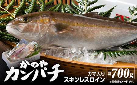 174-1 かのや カンパチロイン （ カマ入 ） KN001-001 魚 カンパチ