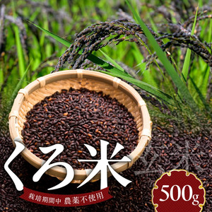 米くろ米500g N0182-YA0472