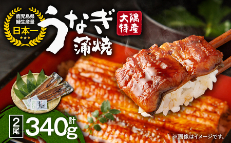 【 土用の丑の日特集 】 1386 大隅特産 うなぎ蒲焼 2尾（340g） KN060-001-01 魚 冷凍 鰻