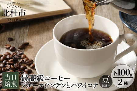 ブルマンとハワイコナ 当日焙煎 （豆） 八ヶ岳の空気と共に [h014]
