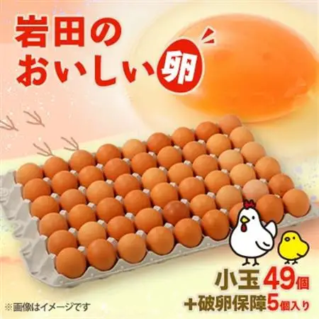 岩田のおいしい卵　小玉49個+破卵保障5個入り_卵・乳製品 卵  たまご タマゴ 玉子_【配送不可地域：離島】【1077545】