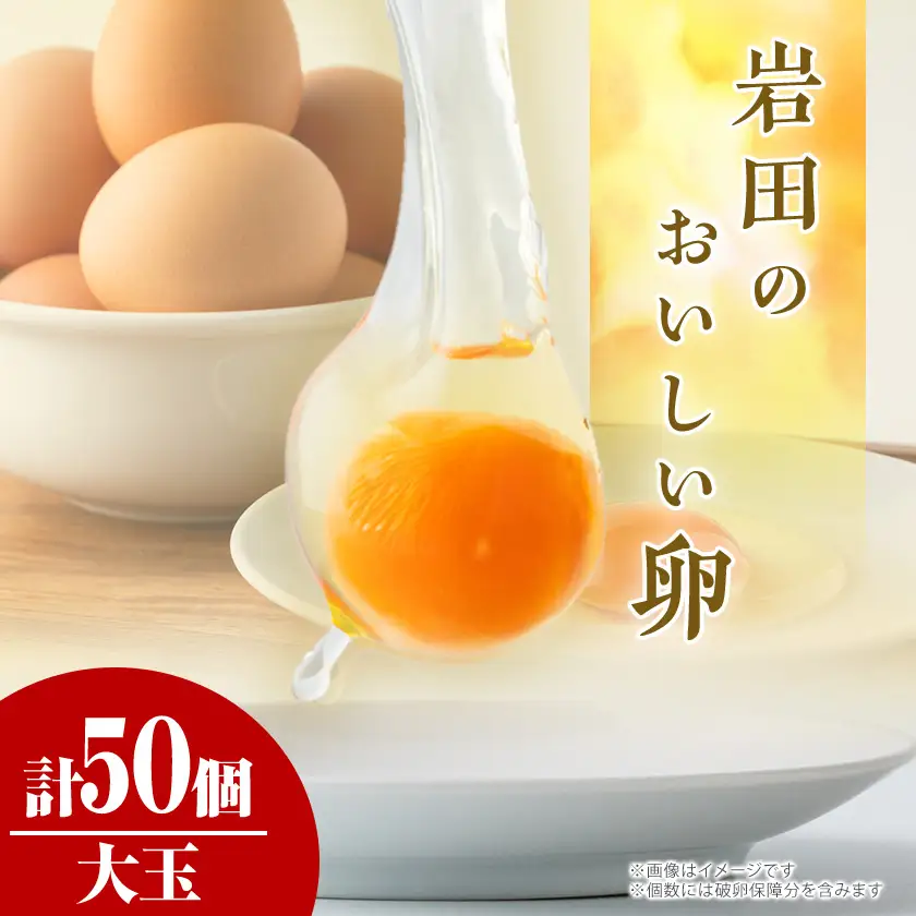 岩田のおいしい卵厳選大玉45個+破卵保障5個 (10個入り×5パック)_卵・乳製品 卵  たまご タマゴ 玉子_【配送不可地域：離島】【1081150】