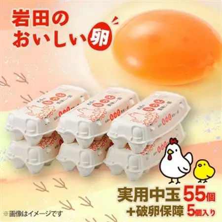 岩田のおいしい卵　実用中玉55個+破卵保障5個 (10個入り×6パック)_卵・乳製品 卵  たまご タマゴ 玉子_【配送不可地域：離島】【1081154】