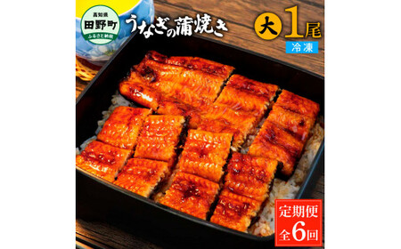 うなぎの蒲焼き(大) 1尾×6回 定期便 6ヶ月 定期コース タレ付き 山椒付き