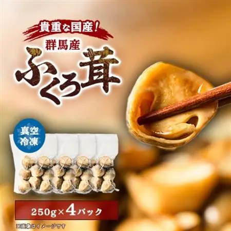 貴重な国産ふくろ茸　袋茸　フクロタケ【冷凍真空パック】丸いもの4パック_野菜  きのこ _【配送不可地域：離島】【1241397】