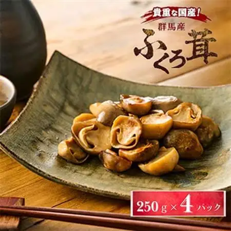 貴重な国産ふくろ茸　袋茸　フクロタケ【冷凍真空パック】丸いもの2パックと開いたもの2パック_野菜  きのこ _【配送不可地域：離島】【1247918】