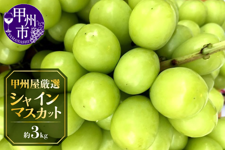 甲州屋厳選 シャインマスカット 約3kg 5～8房【2026年発送】C7-116 シャインマスカット フルーツ