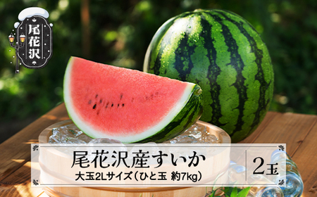 スイカ 尾花沢産すいか 2Lサイズ 約7kg×2玉 令和8年産 nk-su2xx2