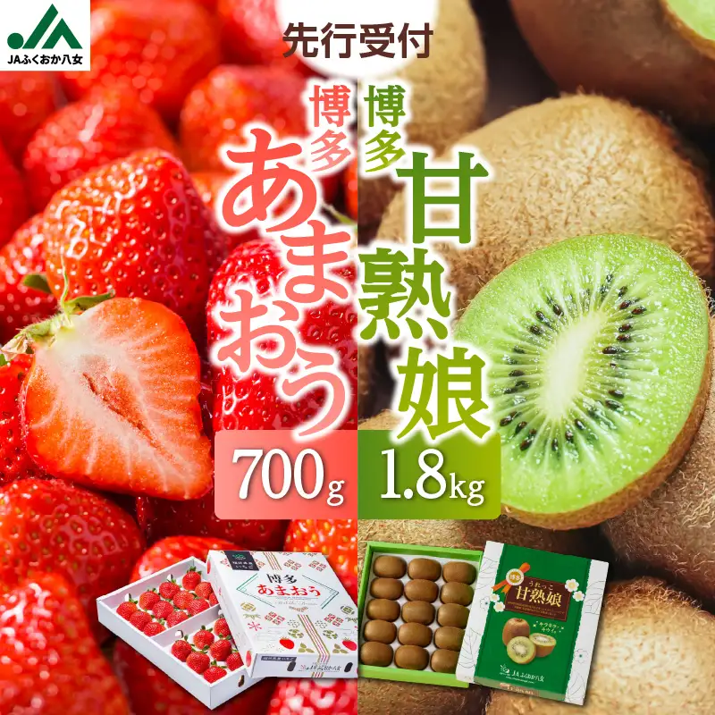 博多あまおう700g＆博多甘熟娘キウイ1.8kgセット（化粧箱）【2027年1月発送開始】 あまおう いちご 苺 イチゴ キウイフルーツ 果物 くだもの フルーツ セット アフター補償 ギフト 化粧箱入り 贈答品 プレゼント 贈り物 数量限定 期間限定 産地直送 福岡県 八女市 002-021
