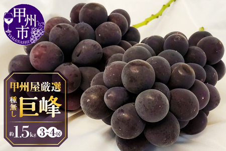 甲州屋厳選 種無し巨峰 約1.5kg 3～4房【2026年発送】B15-139 ぶどう フルーツ