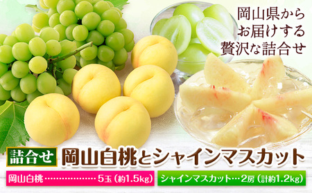 岡山白桃 と シャインマスカット 詰合せ 計約1.2kg 環山堂株式会社