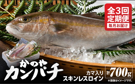 2154 【 全3回定期便 / 毎月お届け 】かのやカンパチ スキンレスロイン（ カマ入 ）計700g KN001-T02 魚 カンパチ