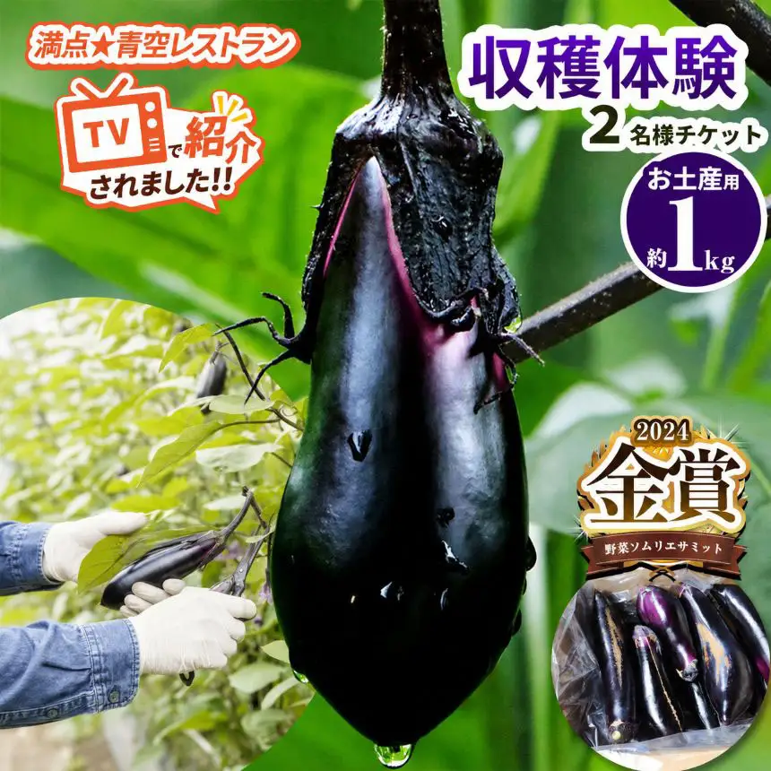 ナスの収穫体験チケット2名様 