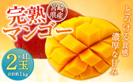 ＜宮崎県産 完熟マンゴー 4L×2玉(合計 約1kg)＞ ※2026年5月上旬～7月中旬までに順次出荷 【c793_dm_x5】マンゴー 果物 くだもの フルーツ 完熟 南国