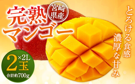 ＜宮崎県産 完熟マンゴー 2L×2玉＞ ※2026年5月上旬～7月中旬までに順次出荷 【DM-f-001】マンゴー 果物 くだもの フルーツ 完熟 南国