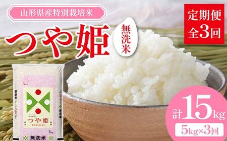 山形県産 特別栽培米 無洗米 つや姫 5kg （BG無洗米） 全3回定期便 F2Y-3917