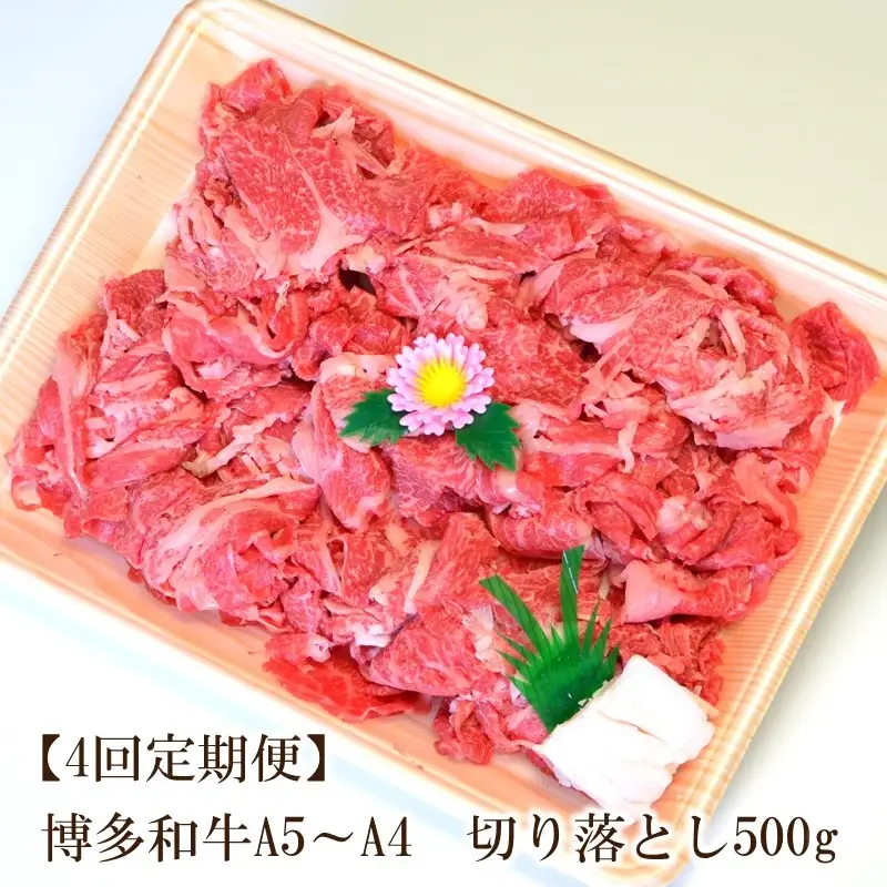 【4回定期便】博多和牛A5～A4 切り落とし500g【化粧箱入】【001-0362】