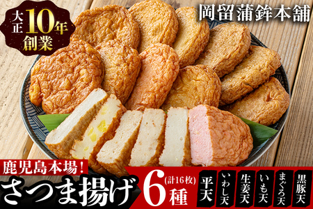 本場鹿児島のさつま揚げセット(全6種・計16枚) a1-100