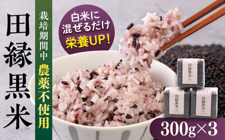 田縁黒米（でんえんくろまい）300g×3パック  糸島市 / NPO法人田縁プロジェクト 古代米 黒米 米 ご飯 [ATM003]