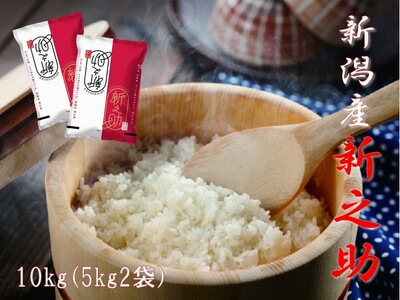 【令和7年産】【生産者直送】阿賀野市産「新之助」10kg（5kg×2袋） 安田興和農事 白米 精米 新潟県 米 こめ コメ 1W05030