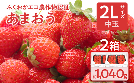 ふくおかエコ農作物認証あまおう 2Lサイズ 2箱セット あまおう イチゴ 苺 いちご フルーツ 果物 くだもの 福岡県産 お取り寄せグルメ お取り寄せ 福岡 お土産 九州 福岡土産 取り寄せ グルメ 福岡県