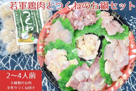 若軍鶏肉 （メス）と 工房謹製 つくね団子 のお鍋セット ひよころ鶏園 鶏肉 モモ もも ムネ むね ササミ ささみ 手羽 つくね 手作り ふんわり 柔らか 蓮根 れんこん 生姜 お子様 こども お年寄り 鍋 国産 新潟県 阿賀野市 冷凍 1R11011 