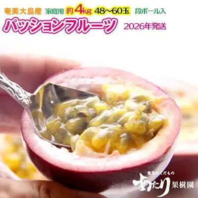 2026年発送【あたり果樹園】奄美パッションフルーツ 家庭用 約4kg 果物  フルーツ