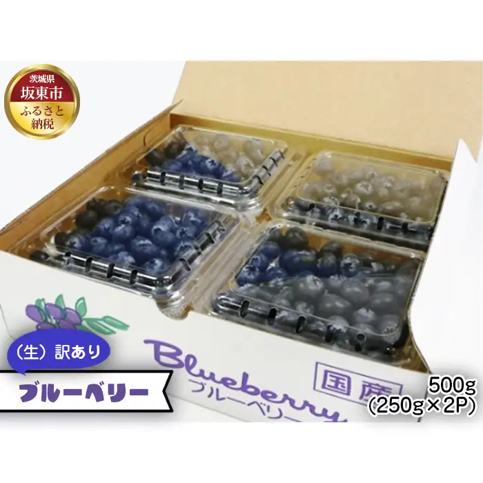 茨城県産　坂東市（生）訳ありブルーベリー500g（250g×2P） No.521
