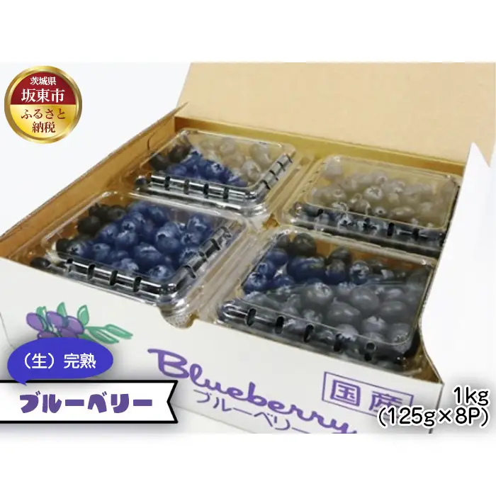 茨城県産　坂東市（生）完熟ブルーベリー1kg（125g×8P） No.538