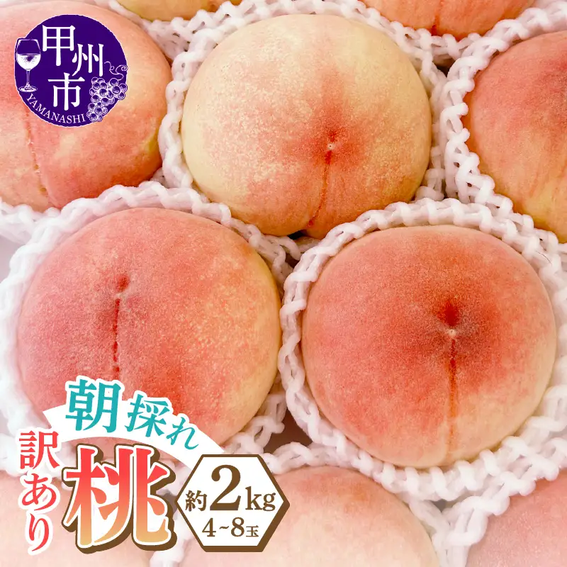 味自慢桃【訳あり品】を感謝込めて朝どれでお贈りします！約2kg（4～8玉）【2026年発送】（LMS）A07-415 桃 フルーツ