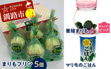 阿寒湖銘菓まりもプリン5個入と養殖まりもセット（ピンク） 北海道 釧路 ふるさと納税 養殖まりも 飼育 プリン カスタード スイーツ 菓子 F4F-1862