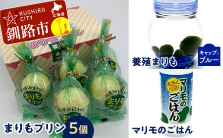 阿寒湖銘菓まりもプリン5個入と養殖まりもセット（ブルー） 北海道 釧路 ふるさと納税 養殖まりも 飼育 プリン カスタード スイーツ 菓子 F4F-1863
