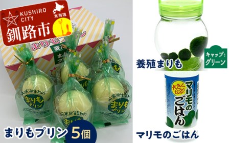 阿寒湖銘菓まりもプリン5個入と養殖まりもセット（グリーン） 北海道 釧路 ふるさと納税 養殖まりも 飼育 プリン カスタード スイーツ 菓子 F4F-1864