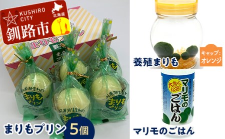 阿寒湖銘菓まりもプリン5個入と養殖まりもセット（オレンジ） 北海道 釧路 ふるさと納税 養殖まりも 飼育 プリン カスタード スイーツ 菓子 F4F-1865
