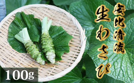 岩手県産 生わさび 100g 【安比清流山葵園】／ 山葵 ワサビ わさび 薬味 国産 八幡平市産 産地直送 新鮮 調味料 刺身 ステーキ お肉 蕎麦 和え物 漬け物 刻み おろし 辛味 和食 お寿司 そば 肉の薬味 魚の薬味 そばの薬味 料理 自宅用 家庭用 おすすめ オススメ お取り寄せ 日本産
