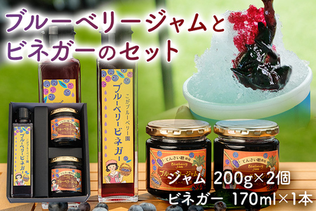 ブルーベリージャム (2個)＆ ビネガー(1本) セット ブルーベリー ビネガー ジャム パン お酢 酢 朝食 かき氷果実酢 お取り寄せグルメ お取り寄せ 福岡 お土産 九州 福岡土産 取り寄せ グルメ 福岡県