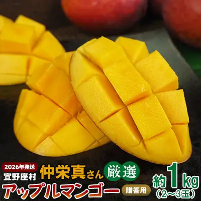 【2026年発送】宜野座村　仲栄真さん厳選アップルマンゴー贈答用（約1kg） アーウィン 果物 甘い 夏 濃厚 お取り寄せ Mango ランキング 完熟 お気に入り 美味しい 人気 おすすめ フルーツ 沖縄県 先行予約 食品 デザート 産地直送 送料無料