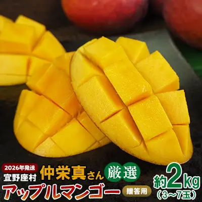 【2026年発送】宜野座村　仲栄真さん厳選アップルマンゴー贈答用（約2kg） アーウィン 果物 甘い 夏 濃厚 お取り寄せ Mango ランキング 完熟 お気に入り 美味しい 人気 おすすめ フルーツ 沖縄県 先行予約 食品 デザート 産地直送 送料無料