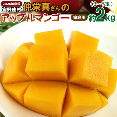 【2026年発送】宜野座村　仲栄真さんのアップルマンゴー家庭用（約2kg） アーウィン 果物 甘い 夏 濃厚 お取り寄せ Mango ランキング 完熟 お気に入り 美味しい 人気 おすすめ フルーツ 沖縄県 先行予約 食品 デザート 産地直送 送料無料