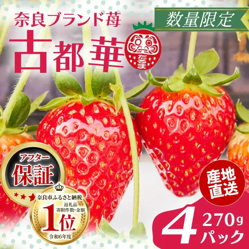 いちご【2027年1月～発送予定】古都華いちご（270ｇ×4P） drm001